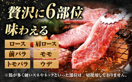【訳あり】佐賀牛 焼肉用 切り落とし 1kg /有限会社片岡精肉店 [41AEAC001]