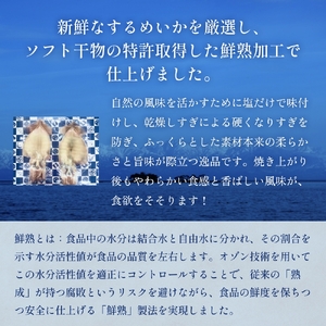 するめいか一夜干し 6枚 富山県 氷見市 イカ 干物　いか