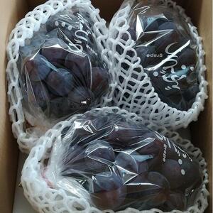 ピオーネ　1.5kg以上　※2025年8月下旬頃に順次発送予定　※北海道・沖縄・離島への発送不可  | ぶどう ピオーネ