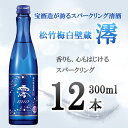 【ふるさと納税】日本酒 清酒 スパークリング 澪 300ml 12本 | 宝酒造 松竹梅白壁蔵 酒 お酒 さけ sake アルコール フルーティ 米 お米 こめ 宅飲み 家飲み 晩酌 BBQ アウトドア キャンプ パーティ 人気 おすすめ お取り寄せ 京都 京都市