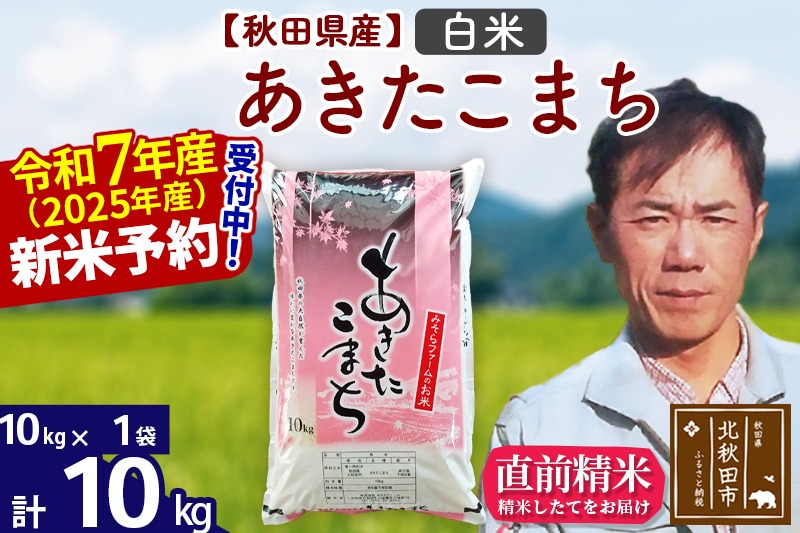※令和7年産 新米予約※秋田県産 あきたこまち 10kg【白米】(10kg袋)【1回のみお届け】2025年産 お米 みそらファーム|msrf-10601