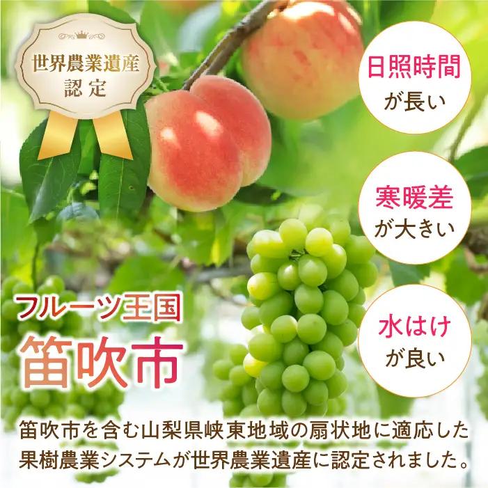 【2026年発送★先行予約】【年2回定期便】桃・巨峰orピオーネ 106-024-26y