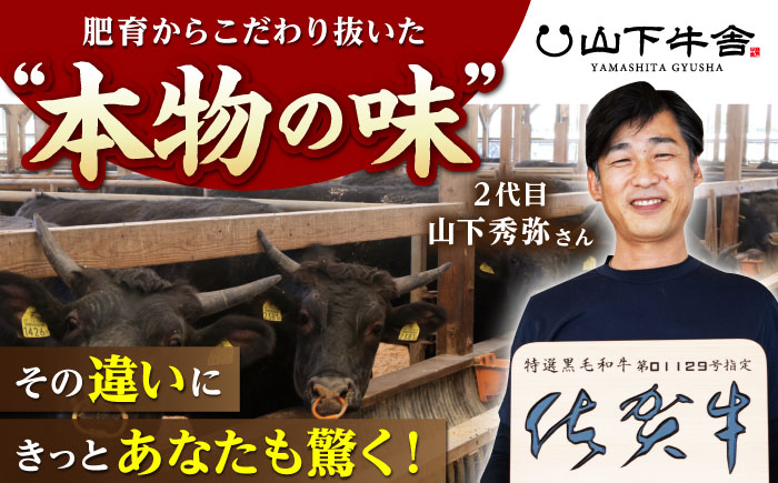 【霜降り A5ランク】佐賀牛 肩ロース スライス 500g（すき焼き用）【山下牛舎】 [HAD042]