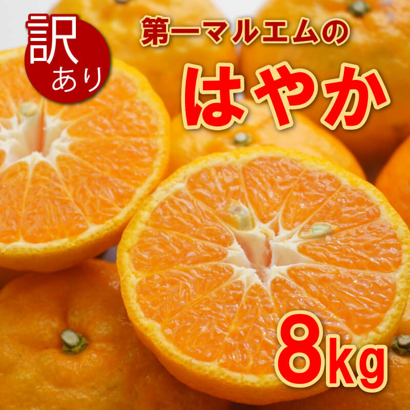 【ふるさと納税】 訳あり 早香 8kg 7000円 みかん mikan 蜜柑 ミカン わけあり はやか 産地直送 国産 農家直送 期間限定 数量限定 特産品 ゼリー ジュース アイス 冷凍 みかん 等に 人気 甘い フルーツ 果物 柑橘 おいしい ジューシー 第一マルエム 愛南町 愛媛県