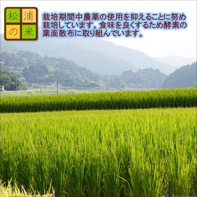 ふるさと納税 松浦市 松浦の寒暖差が味の決め手!特A評価獲得の品種「なつほのか」棚田浮立の里のお米5kg |  | 02