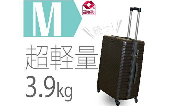 【ふるさと納税】TOMAXライトキャリー中型ブラック 3.9kg ／ キャリーバック スーツケース カバン キャスター装備 ロック装備 拡張ジッパー 送料無料 神奈川県