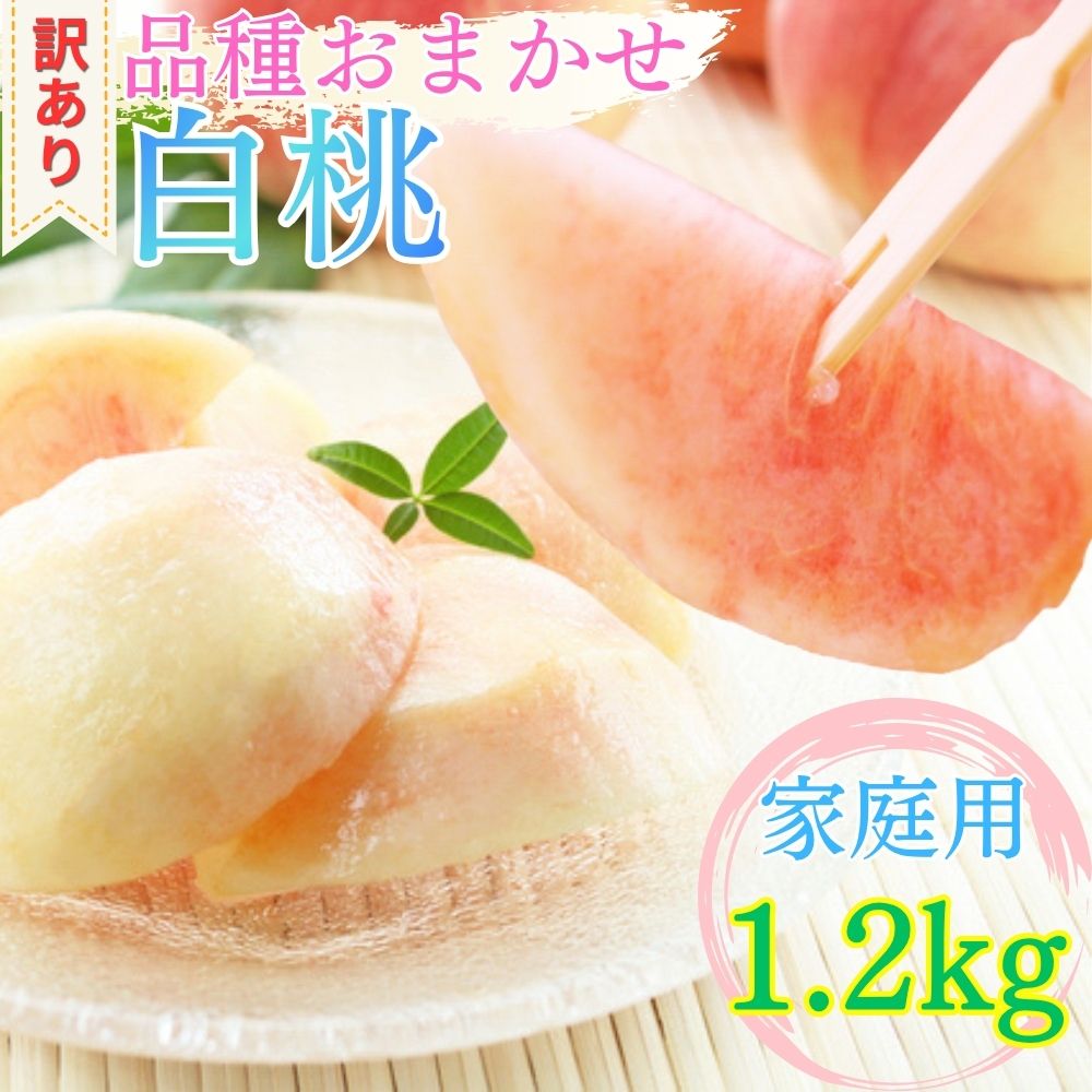 【ふるさと納税】山形県産 白桃 ご家庭用 1.2kg （3玉～6玉）【2026年8月上旬から9月中旬発送】 山形県 果物 フルーツ 桃 モモ もも 夏 送料無料