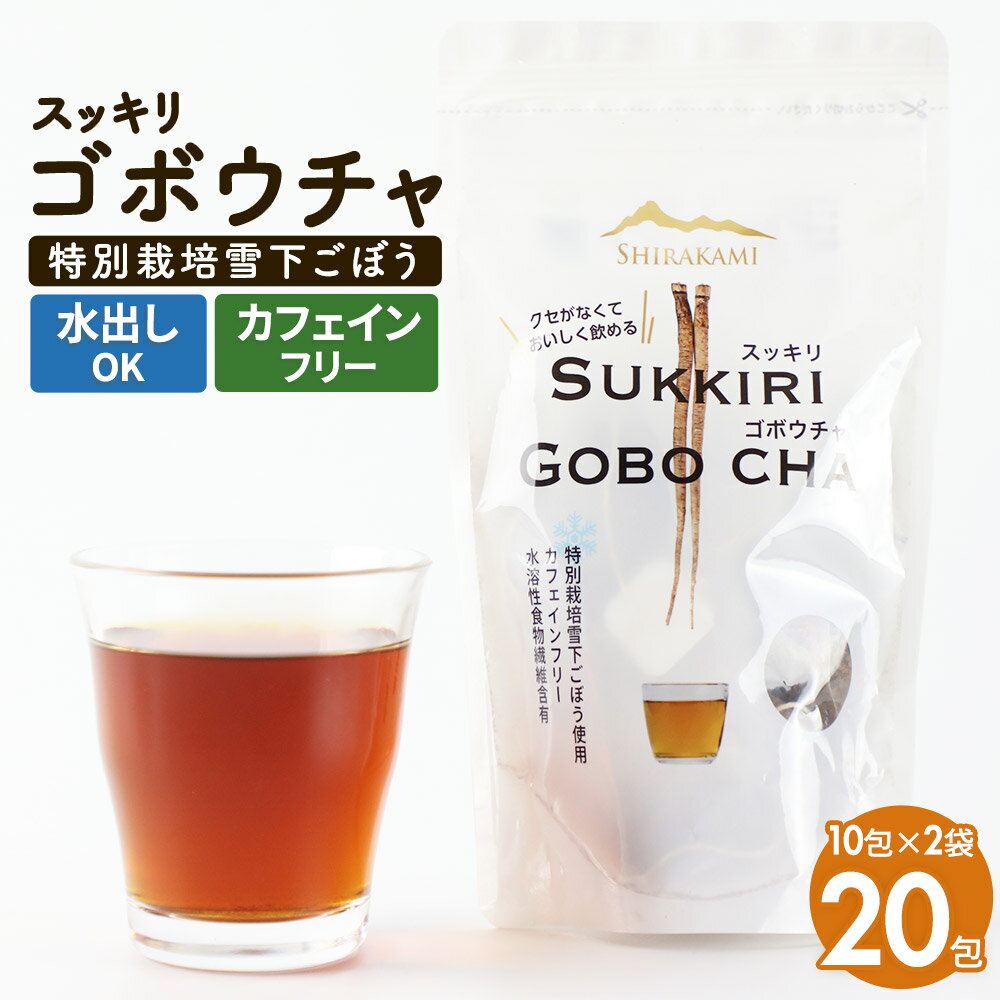 【ふるさと納税】スッキリゴボウチャ ティーパックタイプ (1.5g×10包×2袋) ゆうパケット