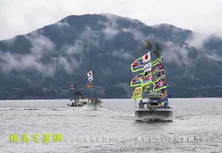 【椿島定置網】サバアクアパッツァ 缶詰 3缶セット 【 さば 鯖 常温 長期保存 ギフト 】