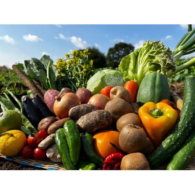 ふるさと納税 安中市 四季折々の新鮮野菜詰め合わせ　旬をお届け!【15種類以上】 |  | 03