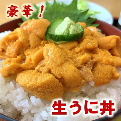 ふるさと納税 普代村 【期間限定 寄付金額改定】北三陸産 天然生うに180g×5本(牛乳瓶入りウニ) うに瓶詰め |  | 02