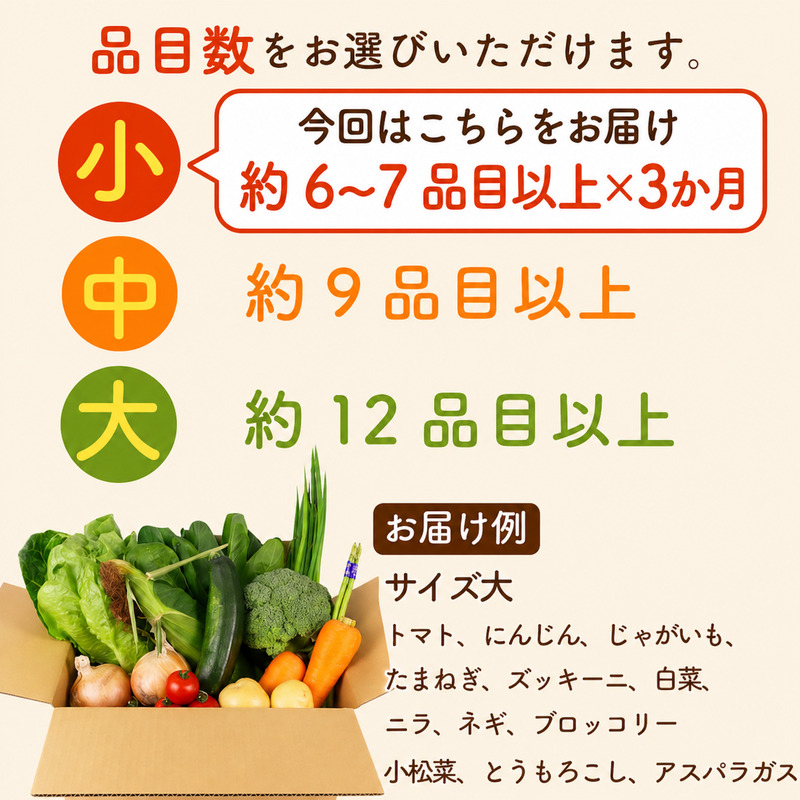 【朝採れ】定期便 3か月 野菜 セット 6~7品目 以上 お野菜 季節 野菜 旬 新鮮 産地直送 詰め合わせ やさい おいしい セット 美味しい たっぷり 丸新柴本製茶 静岡県 牧之原市