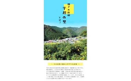 古座川町のゆずドリンク ストレートドリンク柚香ちゃん（10本入り）ゆず 柚子 柚 ユズ ジュース ドリンク  【yuz101】