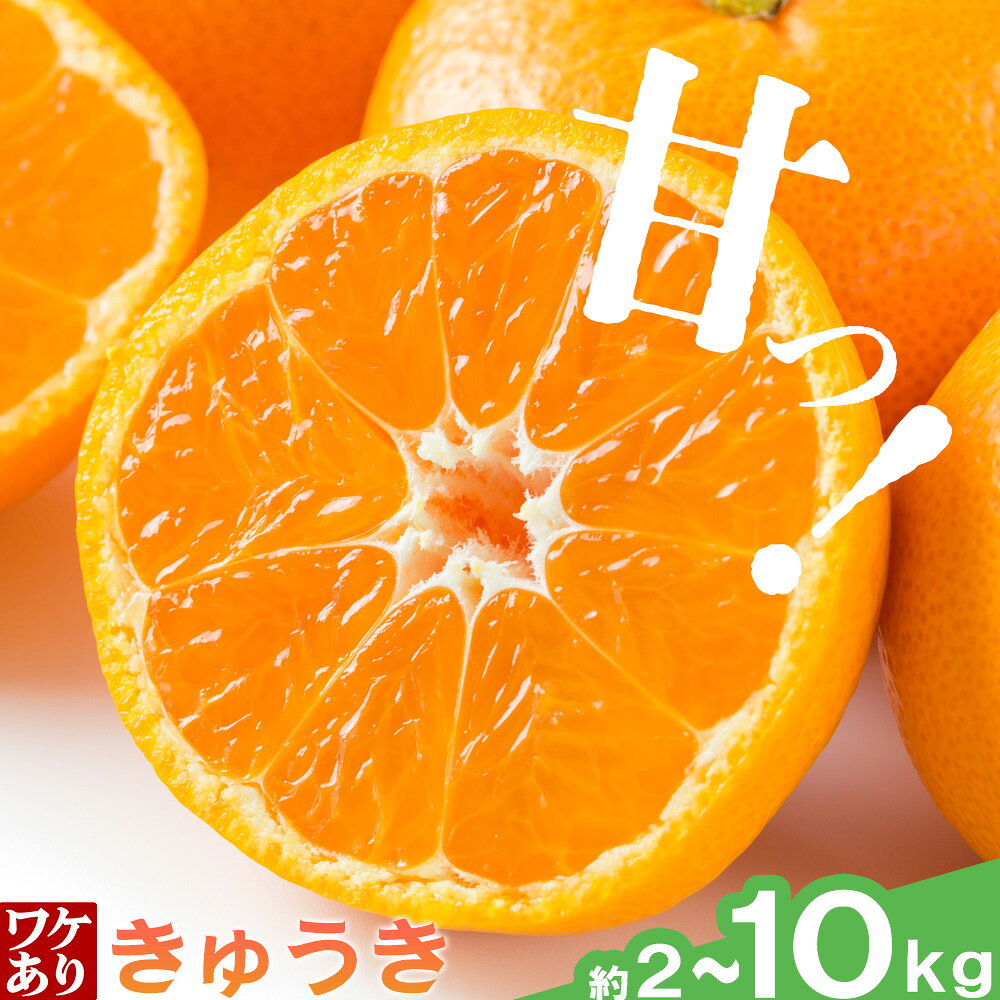 【ふるさと納税】みかん 訳あり 10kg 5kg 2kg 選べる内容量 早生みかん きゅうき みかん 石谷普朗《12月中旬-1月中旬頃出荷》和歌山県 岩出市 送料無料 果物 フルーツ 柑橘類 お取り寄せフルーツ ミカン 早生