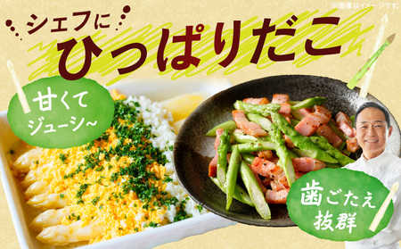 グリーン・ホワイトアスパラガス約1kg（6～7月出荷） | ホワイトアスパラ アスパラガス グリーンアスパラ アスパラ 野菜 生野菜 夏野菜 直送 新鮮 おすすめ 柔らかい  香川県 三木町 |_mk