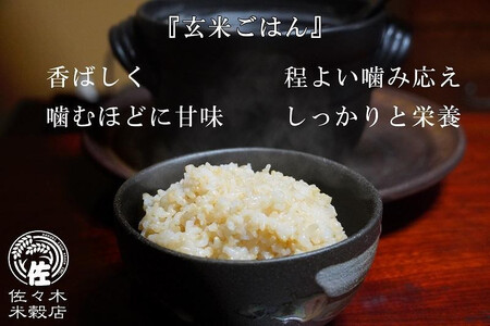 あきたこまち 玄米 5kg 盛岡市産 岩手 米 お米 ブランド米 いわて米 秋田こまち 五つ星 お米マイスター 推奨 こめ コメ ライス ご飯 ごはん 美味しい 贈り物 国産 岩手県産 岩手県 盛岡市