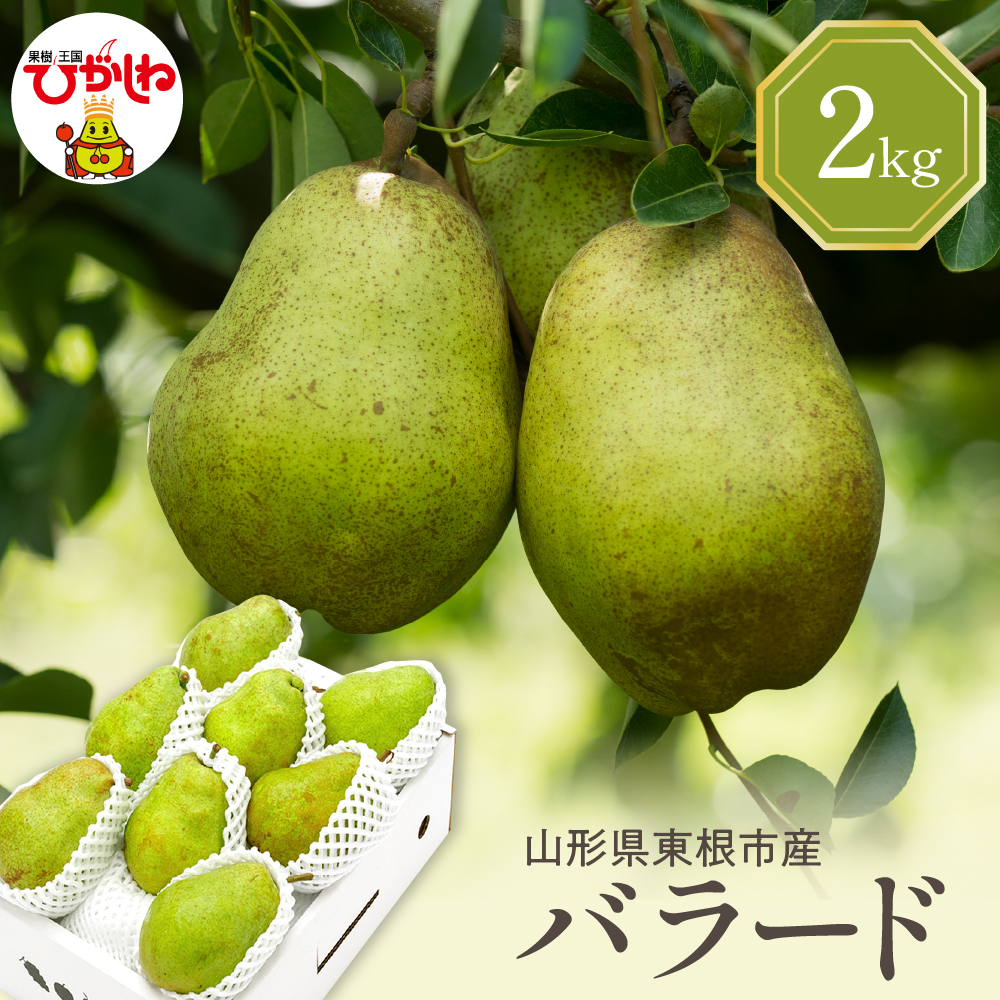 【令和7年産 先行予約】西洋梨バラード2kg 山形県 東根市 東根農産センター提供 hi027-191-1