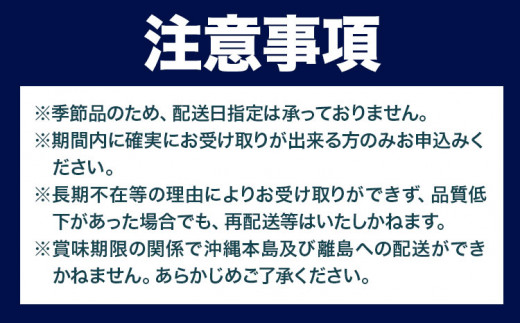 生ブルーベリー 約500g サンベリーむらおか 《2024年7月下旬～8月上旬頃出荷》北海道 名寄市 ブルーベリージャム フルーツ 果物 くだもの ケーキ 作り お菓子 スイーツ 贈り物 贈答用 内祝