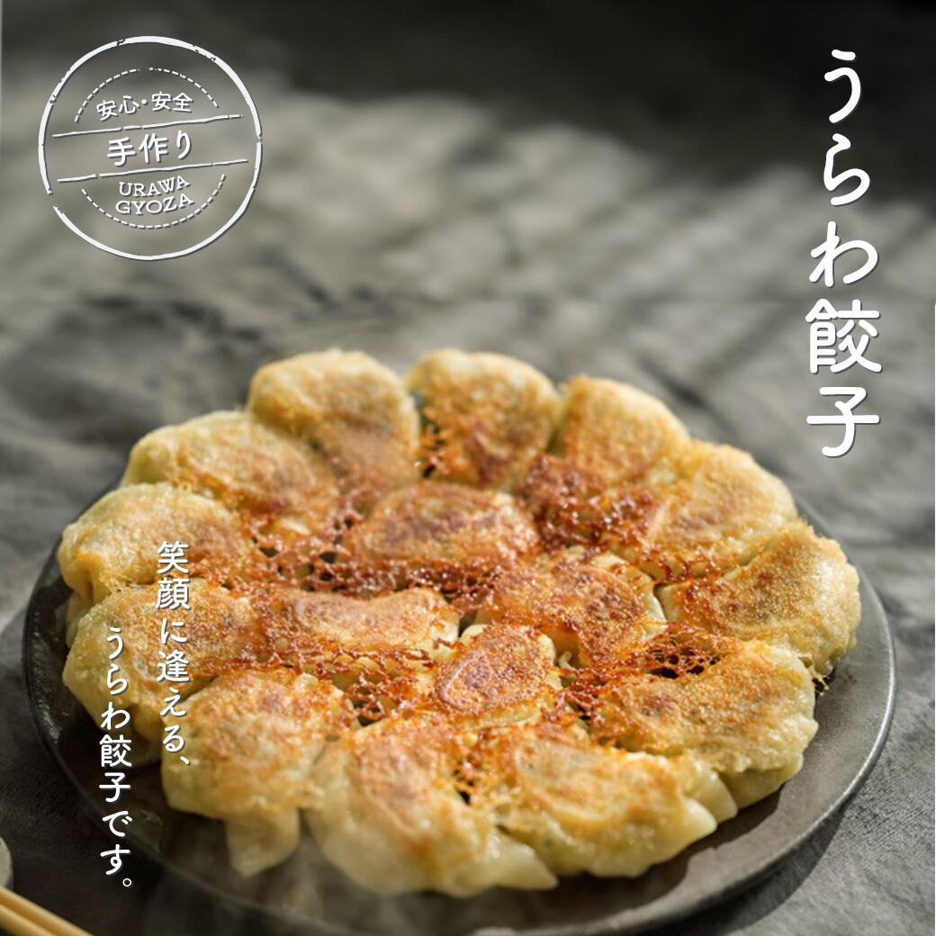 【ふるさと納税】うらわ餃子 生餃子 レギュラー しそ バジル&チーズ 旨辛 惣菜 レトルト ご飯 お弁当 冷凍 送料無料【11100-0724-733】