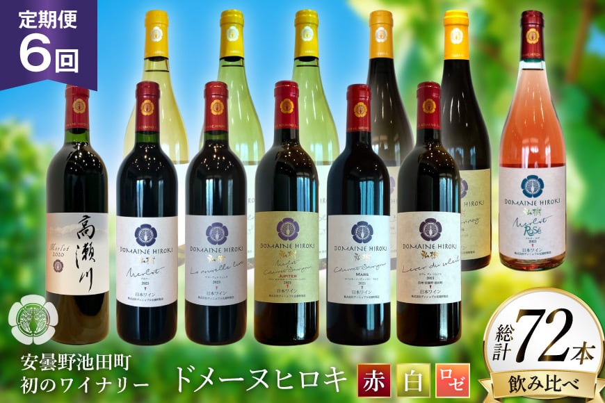 
            定期便 ワインセット 赤白 ロゼ 12本 セット 750ml 6回 計 72本 [ヴィニョブル安曇野 長野県 池田町 48110762] 赤ワイン 白ワイン 飲み比べ ワイン 赤 白 ロゼ
          