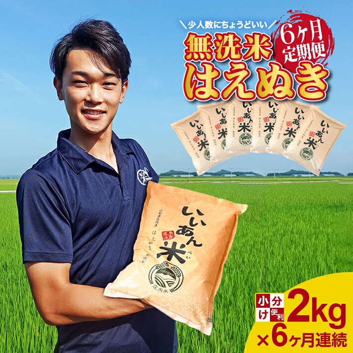 【ふるさと納税】≪6ヶ月定期便≫ 無洗米 はえぬき 2kg×6ヶ月連続 計12kg 山形県庄内産 ご希望期間の毎月下旬頃お届け 東北 山形県 酒田市 庄内地方 庄内平野 米 お米 精米 白米 無洗米 庄内米 定期便 小分け 一人暮らし 少人数
