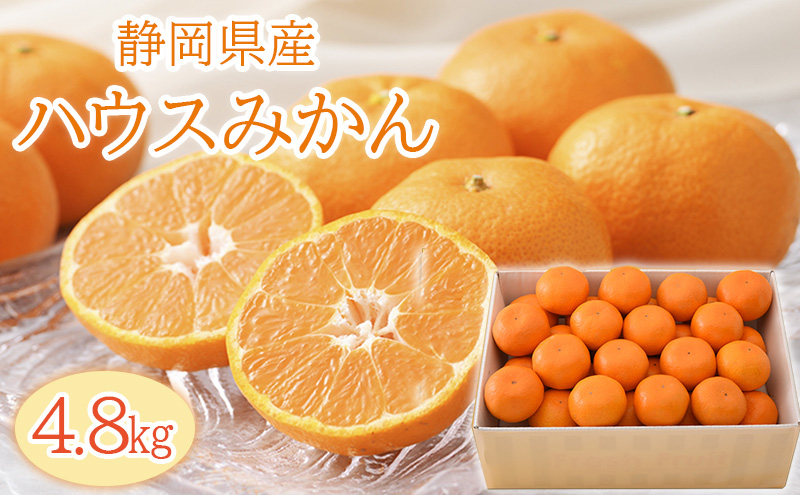 【2026年6月下旬より順次発送】静岡県浜松市産ハウスみかん4.8kg