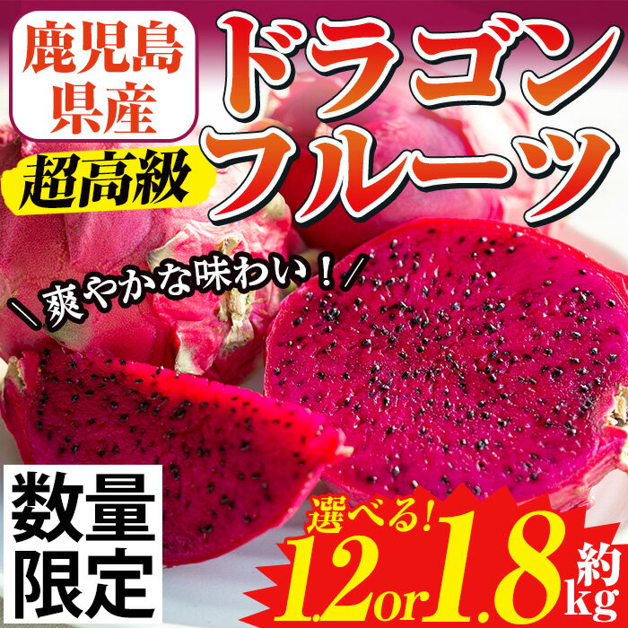 【ふるさと納税】《数量・期間限定》選べる！鹿児島県産 ドラゴンフルーツ(1.2kg/1.8kg) 国産 鹿児島 日置市 産地直送 スイーツ デザート 果実 果物 くだもの フルーツ 栽培期間中 農薬不使用 無農薬 贈り物 贈答品【はまうえ果樹園】