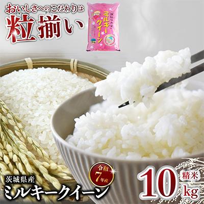 ふるさと納税 下妻市 精米 ミルキークイーン 10kg 茨城県下妻市産