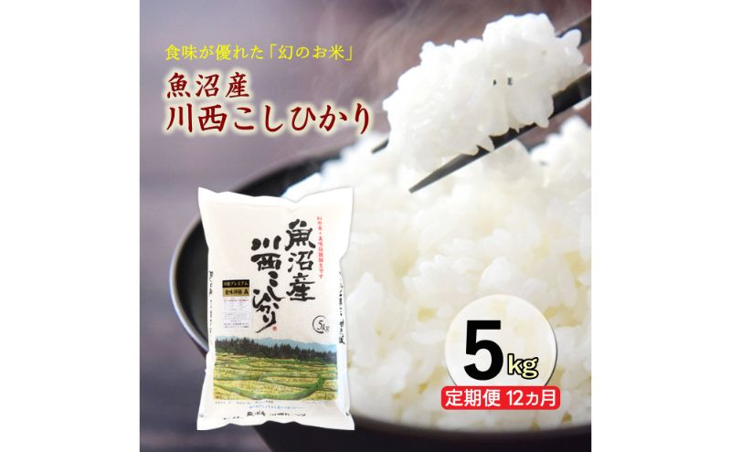 
            【先行予約】【定期便／12ヶ月】魚沼産川西こしひかり5kg  令和7年度米＜令和7年10月下旬～発送予定＞ 
          