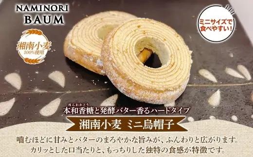 ミニサイズ バウムクーヘン なみのりバウム 10個セット 食べきりサイズ まんまるソフト デコボコ烏帽子 湘南小麦 しっとり ふんわり お菓子 洋菓子 スイーツ 詰め合わせ ギフト 神奈川県 茅ヶ崎市