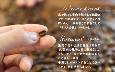 「Kaung day」ミャンマースペシャルティコーヒー豆 2種セット（ウォッシュド・中深煎り　/　ナチュラル・中煎り（各100g））（豆）コーヒー 珈琲 コーヒー豆 カウンデー【98-1】スペシャルテ