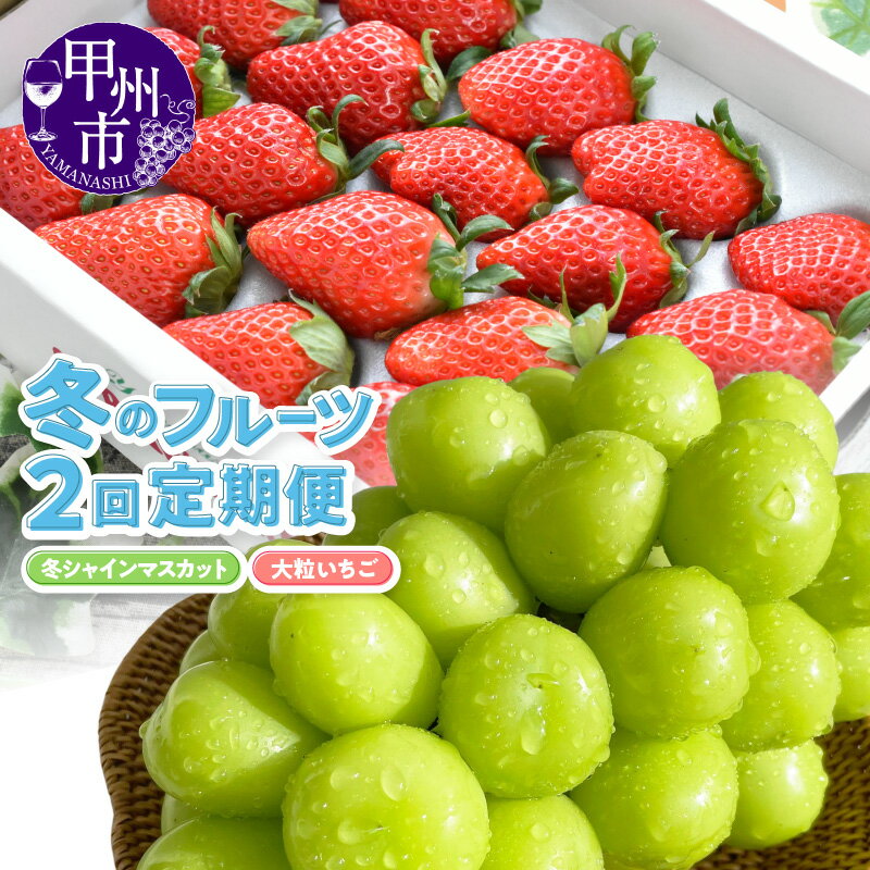 【ふるさと納税】 フルーツ 定期便 果物 全2回 シャインマスカット 約600g 1房 冬シャインマスカット いちご 約500g 20粒 大粒 苺 イチゴ 紅ほっぺ かおり野 ぶどう 葡萄 2025年発送 期間限定 数量限定 果実 贈答 ギフト 社員マスカット 山梨 甲州市 （KSB） 【C6-101】