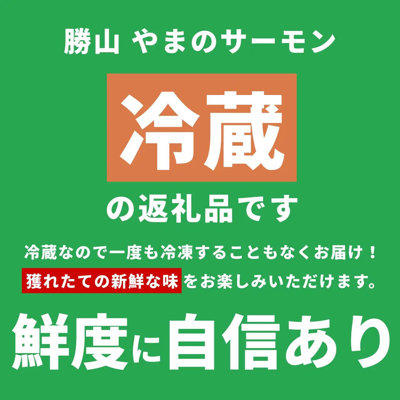 サーモン 丸ごと1尾 2.5kg以上 3尾 [H-050002]サーモン