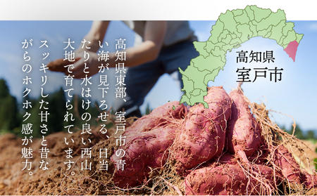【さつまいも】秀品 サツマイモ 5kg ta032