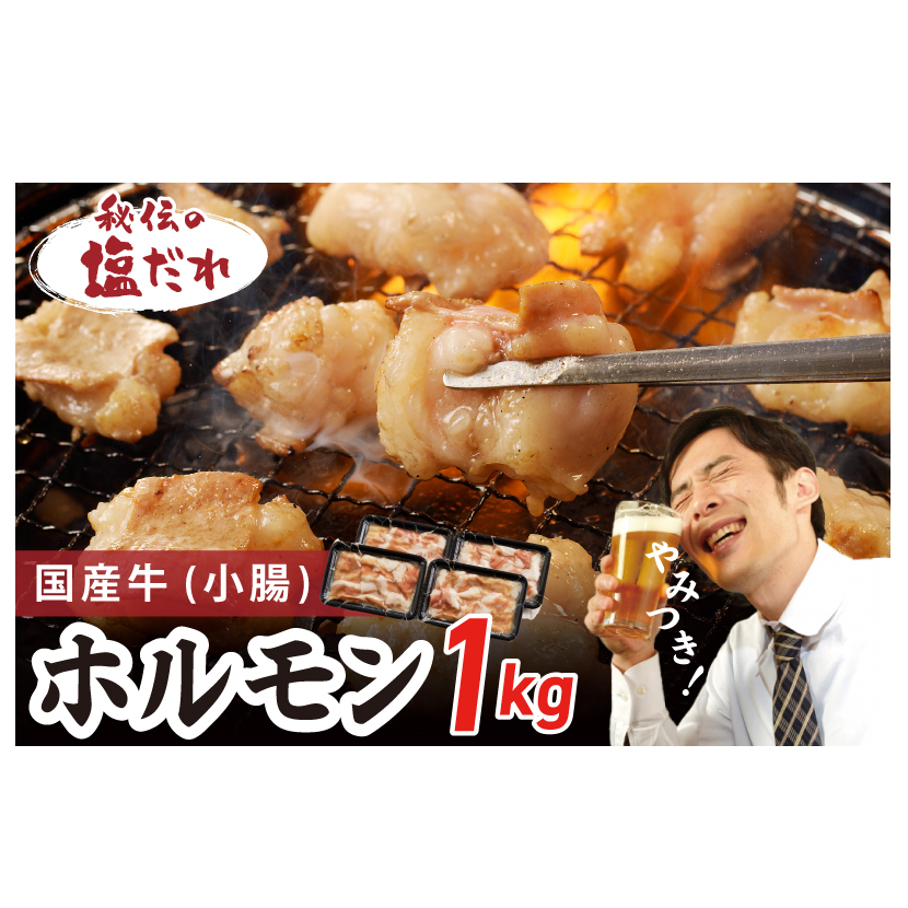 国産 牛肉 ホルモン 1kg 塩だれ漬け 焼肉用 小分け 250g×4P G1147