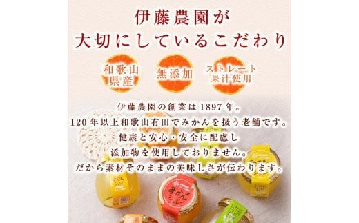 640.伊藤農園 ピュアフルーツ寒天ジュレドリンクタイプ 不知火 12本セット(A640-3)