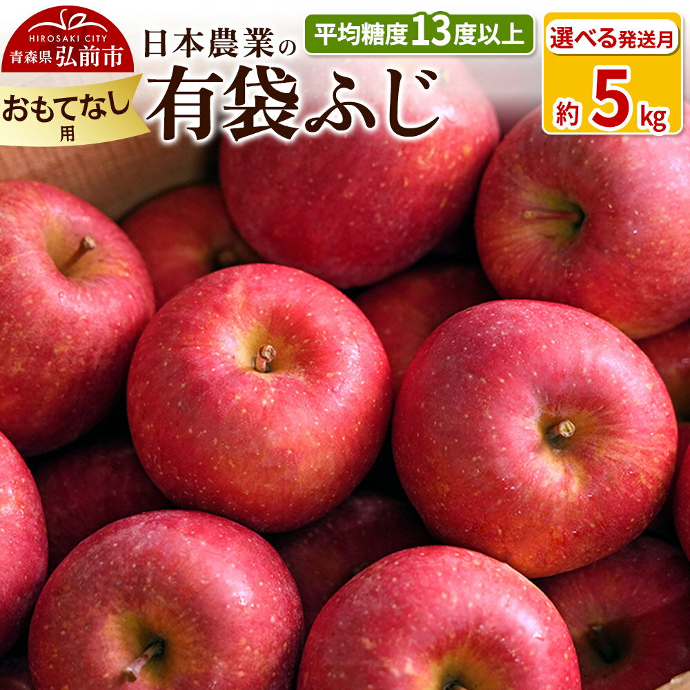 【ふるさと納税】りんご 【先行受付】平均糖度13度以上！ 有袋ふじ 約5kg おもてなし用【選べる発送月】 CA貯蔵