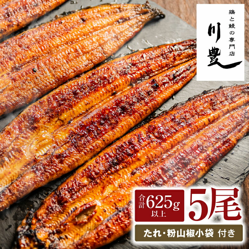 【ふるさと納税】【土用の丑の日対応6/30入金まで】＜国産＞ 昭和56年創業 うなぎの川豊 有頭 蒲焼き 5尾 セット(約125g～150g×5尾)たれ・山椒付き！鹿児島 鹿屋市 鰻 ウナギ 蒲焼 冷凍 急速冷凍 湯煎 簡単調理 鰻丼 ひつまぶし 土用の丑【有限会社 MNB】