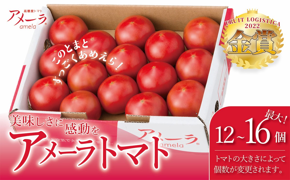 
                  アメーラトマト │トマト とまと 野菜 高糖度 人気 ランキング アメーラ 静岡県 小山町
                