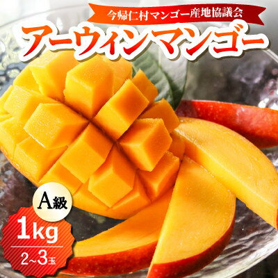【先行予約】 今帰仁 マンゴー A級 1kg 【2023年6月～8月頃発送】 生産者直送 国産 沖縄 アップルマンゴー