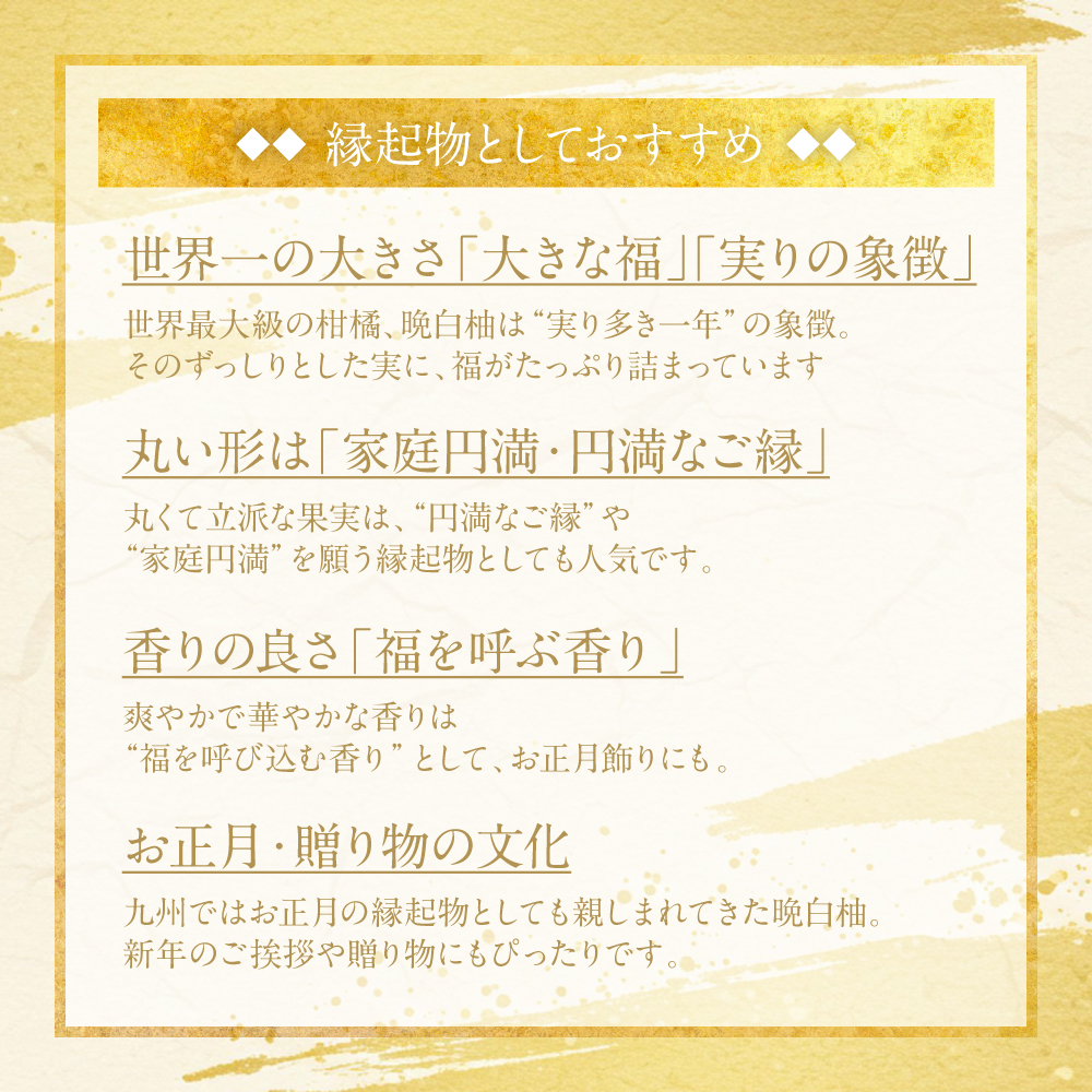 【先行予約】《年内最終日までお届け》やつしろ縁起物セット（晩白柚1玉込み） ばんぺいゆ みかん お正月 飾り フルーツ 果物 くだもの い草 熊本県 八代市 【2026年12月中旬より順次発送】_イメ