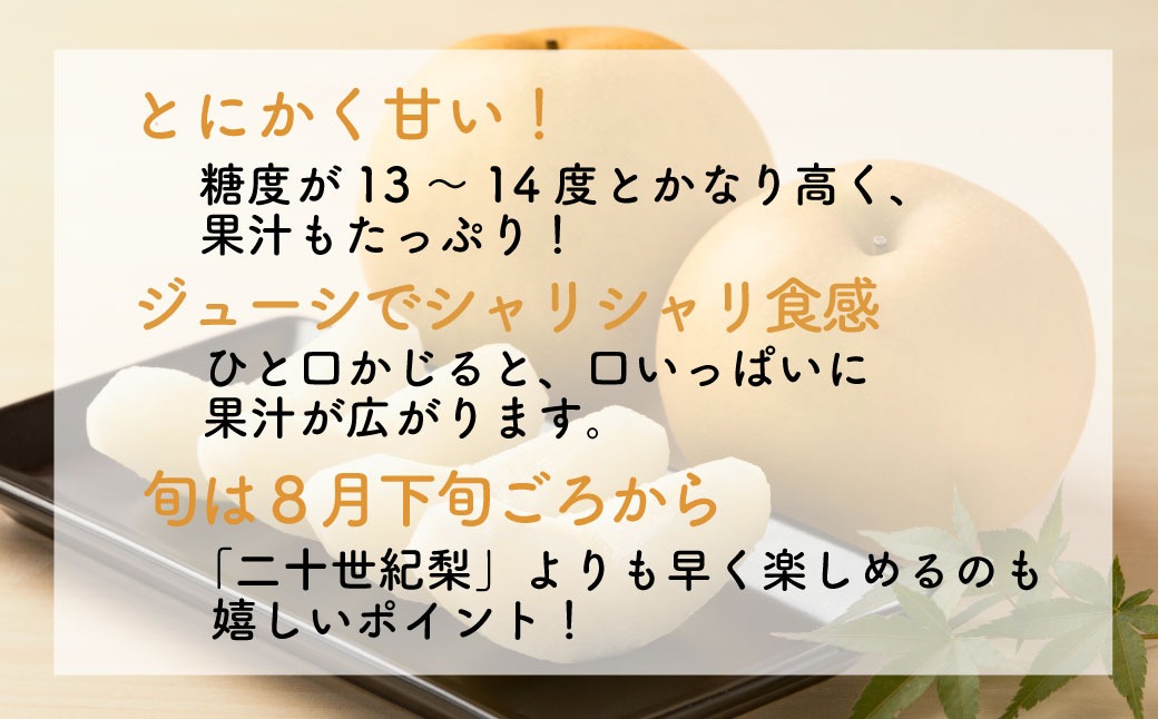 新甘泉(赤秀) 5kg