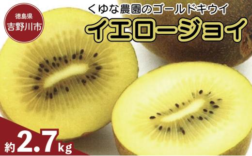 訳あり ゴールドキウイ 先行予約 約2.7kg 2026年11月上旬～ イエロージョイ 国産キウイフルーツ キウイフルーツゼリー キウイフルーツジュース キウイフルーツジャム キウイフルーツタルト キウイフルーツビタミンC キウイフルーツ追熟 キウイフルーツ訳あり キ プレゼント 贈答 送料無料 徳島県 吉野川市 くゆな農園