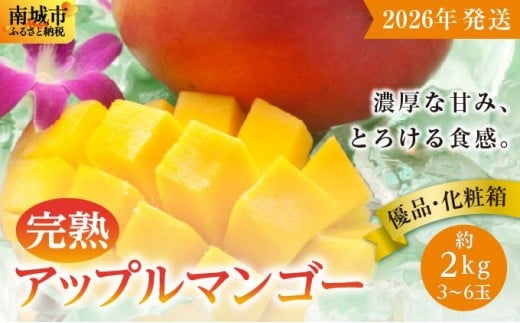 
            【2026年発送】＜優品＞完熟アップルマンゴー約2kg（化粧箱）3玉～6玉
          