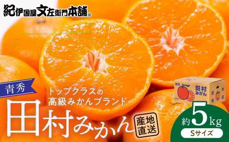 
                  V7449_【2026先行予約】青秀 田村みかん 5kg Sサイズ 濃厚 紅色 果皮 果肉 糖度 高い 味 ブランド みかん フルーツ 果実 果物 柑橘 濃厚 国産 食品 食べ物 おやつ デザート 紀伊国屋文左衛門本舗 お取り寄せ お取り寄せフルーツ 和歌山県 湯浅町 送料無料
                