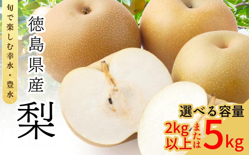 
                  【8月上旬から9月上旬まで発送】 梨 2kg～5kg 豊水 幸水 容量 選べる フルーツ 果物 なし 旬 国産 厳選 徳島県
                
