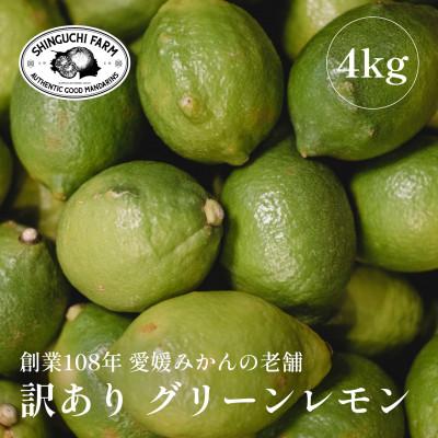 ふるさと納税 八幡浜市 【防腐剤・ワックス不使用】愛媛県産「訳あり」グリーンレモン 4kg【C70-53】