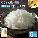 【ふるさと納税】新米 令和6年度産　無洗米 ふるさと福井県産 いちほまれ 精米5kg 【無地のし対応可】