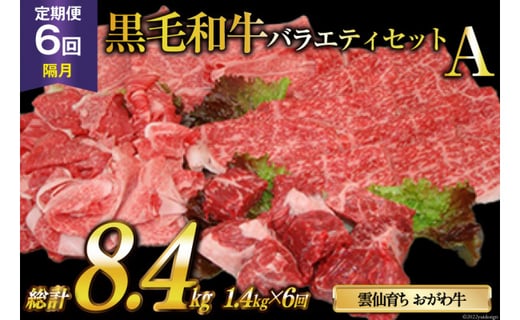 定期便 6回 牛肉 雲仙育ち おがわ牛 バラエティーセットA 総計8.4kg(1.4kg×6回) [焼肉おがわ 長崎県 雲仙市 item1601] 黒毛和牛 上ロース モモ 切落とし スライス 薄切り肉 冷凍