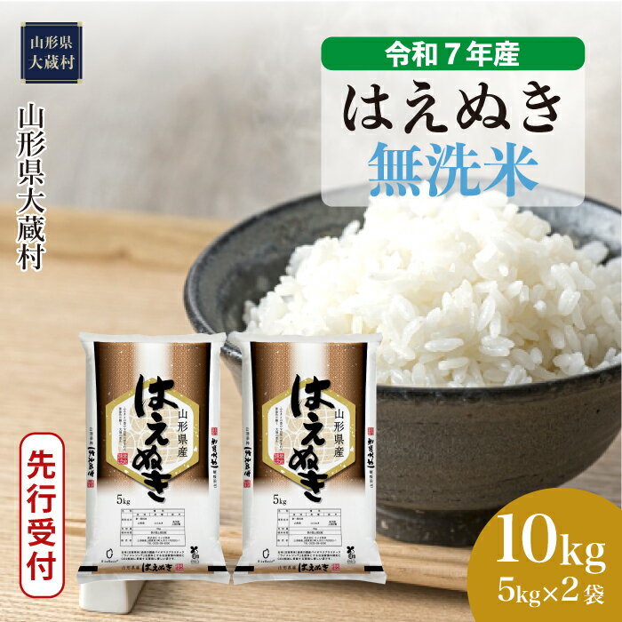 【ふるさと納税】＜令和7年産米先行受付＞ 大蔵村 はえぬき ＜無洗米＞ 10kg（5kg×2袋）